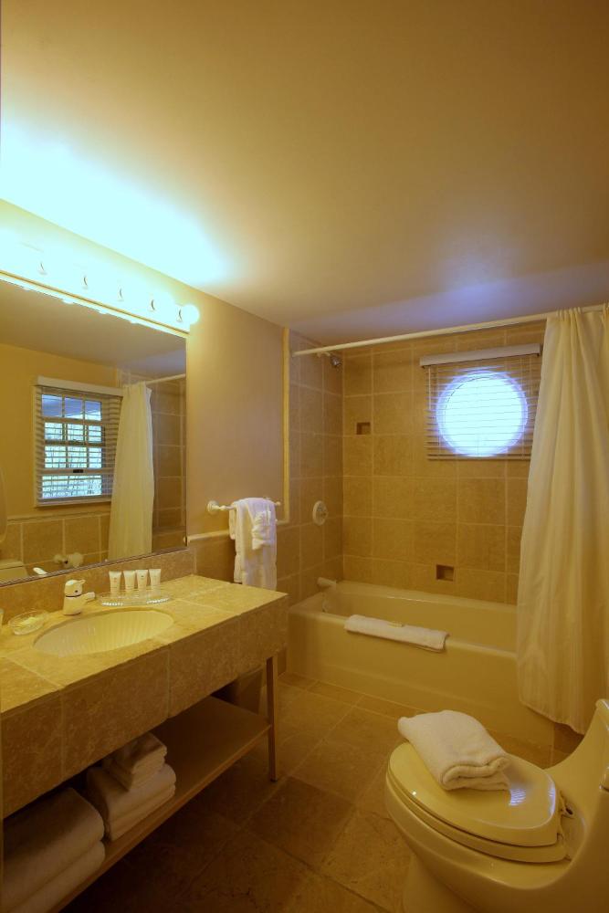 Rear Deluxe Studio interior